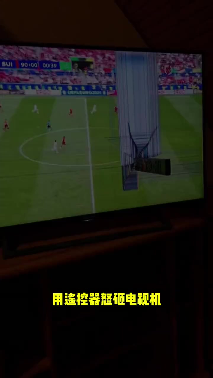  因球队表现不佳，匈牙利球迷用遥控器怒砸电视